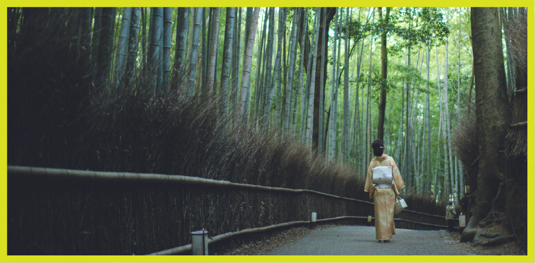 参考になる旅行の事例を紹介して欲しい